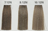 9.12N (WARM BEIGE BROWNS) AEN COLOR PLEX 4.06 Fl. Oz./120ml.