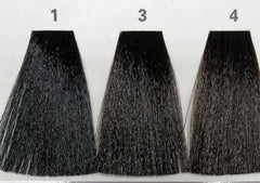 1 (ASH NATURALES) AEN COLOR PLEX 4.06 Fl. Oz./120ml.