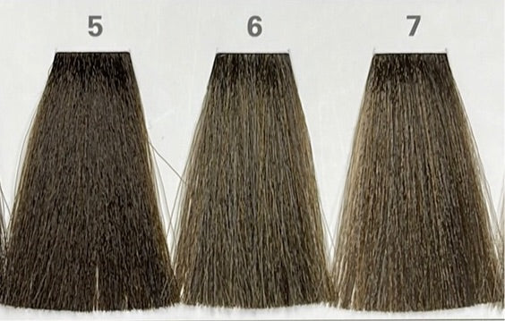 6 (ASH NATURAL) AEN COLOR PLEX 4.06 Fl. Oz./120ml.